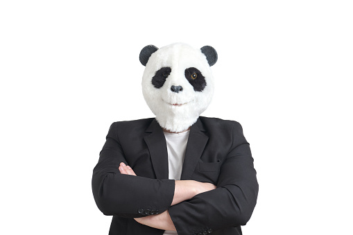 Man wearing a panda mask head and a suit, arms folded, isolated on white background in studio.