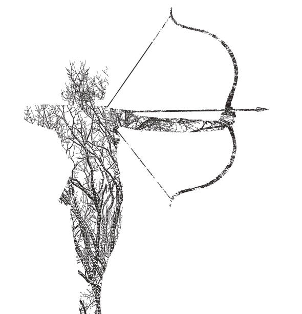 многократная экспозиция молодой женщины, деревьев и лука и стрел - duotone aiming hunter bow and arrow stock illustrations