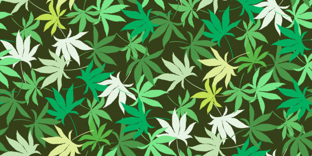 stockillustraties, clipart, cartoons en iconen met cannabis seamless pattern - marihuana gedroogde cannabis