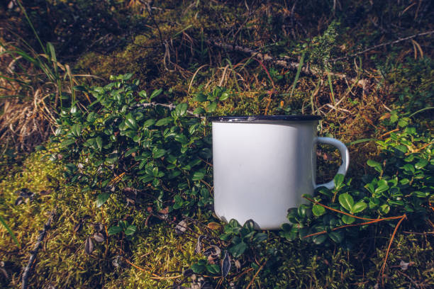 Enamel white mug in the mossy wood mockup. Trekking merchandise and camping geer marketing photo. Stock wildwood photo with white metal cup. Rustic scene, product mock up template. Lifestyle outdoors. stock photo
