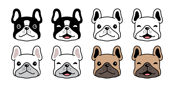 dog vector french bulldog bone icon puppy head face pet character cartoon symbol tattoo stamp scarf illustration design isolated