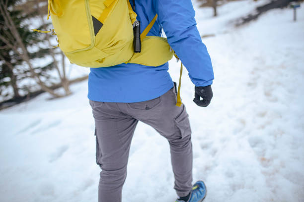 alpinista in azione. isl - rear view winter blizzard nordic countries foto e immagini stock