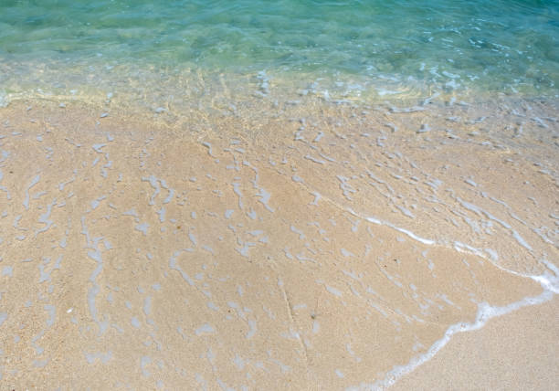istock Golden sand beach and blue ocean waters 1391565496