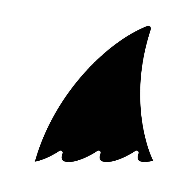 ilustrações, clipart, desenhos animados e ícones de tubarão fin vetor ícone golfinho peixe peixe baleia logotipo símbolo de desenho animado personagem ilustração sea ocean design doodle isolado - flipper