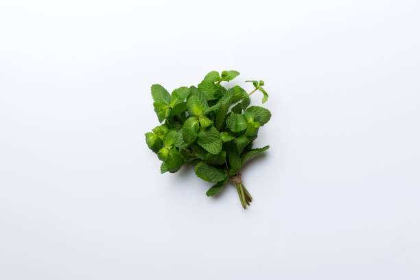 istock Mint leaf. Fresh mint on Colored background. Mint leaves isolated Top view with copy space 1391566840