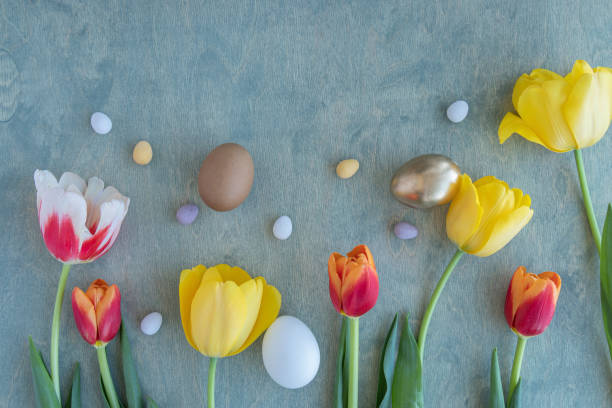 Easter background with yellow, red tulips and chocolate eggs on a wooden green background with space for text. copy space, top view, flat lay, happy easter stock photo