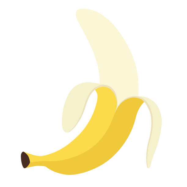 ilustrações, clipart, desenhos animados e ícones de material do ícone de ilustração de banana descascado - banana peeled banana peel white background
