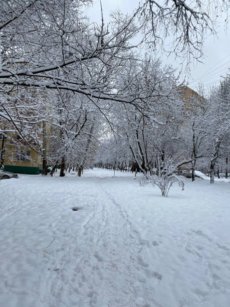 istock winter in city yard at cloudy day after snowfall 1391574633