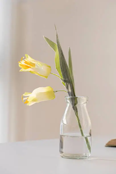 Photo of Bouquet of Lilies of the valley. yellow bell flower in the vase