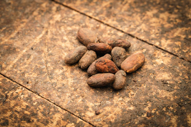 Drying cocoa seeds, Ecological, natural method of obtaining cocoa