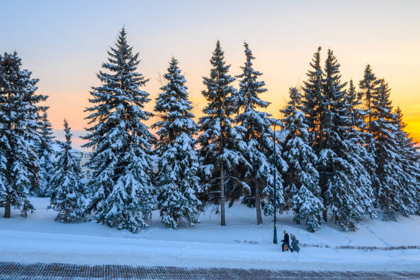 istock a city park on a winter evening 1391588596