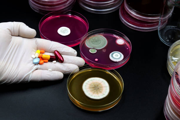 plates with microorganisms and medicament capsules - bacterial mat stockfoto's en -beelden