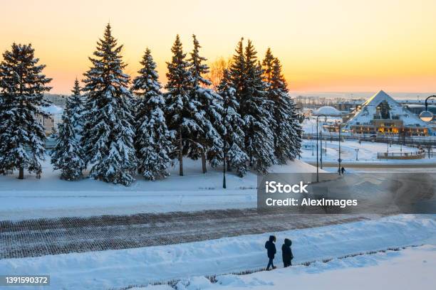 Snowcovered Trees And Modern Buildings Stock Photo - Download Image Now - Winter, City, Monument