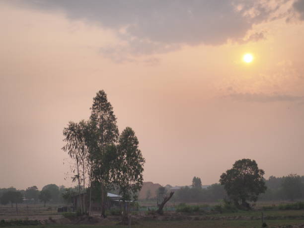 istock good morning sun yellow gold orange 1391590572
