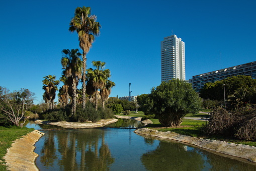 Nature in Parc del Museu de les Ciencies,Tram XV del Jardi del Turia in Valencia,Spain,Europe