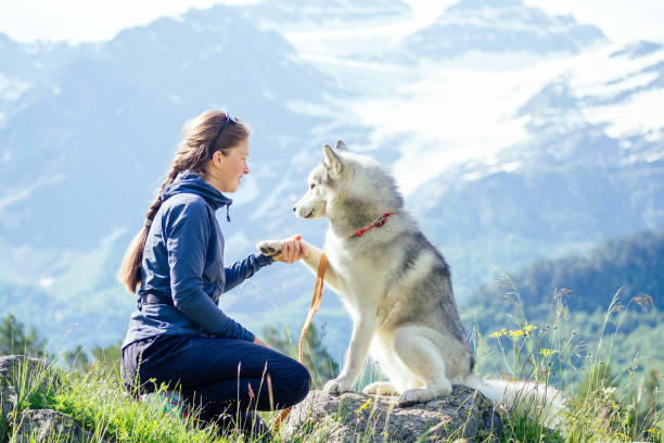 istock Dog with a woman walking mountains outdoors 1391594708
