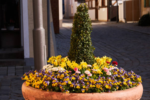 istock Flower bed with spring flowers in the city. 1391596340