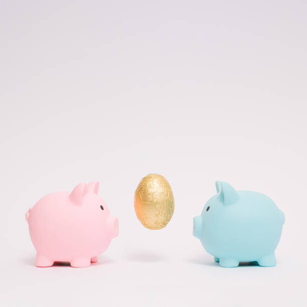 Pastel blue and pink piggy banks with golden egg. Concept of saving, accumulating and preserving money. Love, marriage, marital property composition. Pastel blue and pink piggy banks with golden egg. Concept of saving, accumulating and preserving money. Love, marriage, marital property composition. dealing room photos stock pictures, royalty-free photos & images