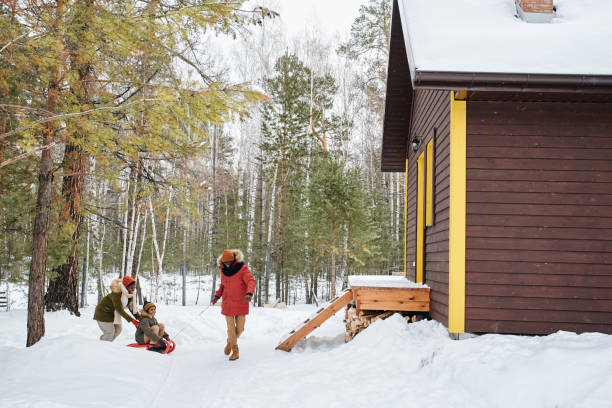 istock Young African American man pulling sledge with his son during stroll in winter 1391597699