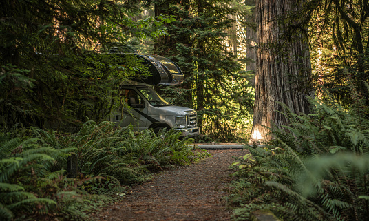 Recreational Vehicle RV Camping in the Redwood Forest of California, United States. Class C Motorhome.