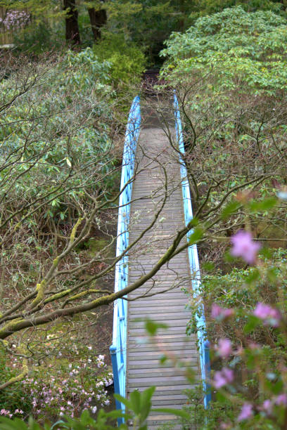 istock View of a metal bridge 1391601306
