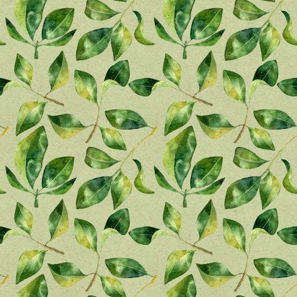 istock Green leaves watercolor seamless pattern. Botanical painting illustration isolated on green background. Summer Hand drawn illustration. Herbs for cosmetics, package, textile, cards, decoration 1391605262