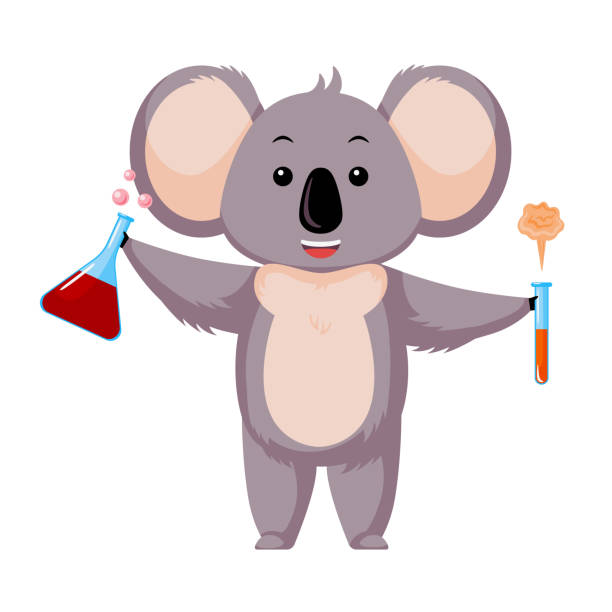 симпатичная коала ученого изолирована на белом фоне. мультипликационный персонаж учитель химии. - koala australian culture cartoon animal stock illustrations