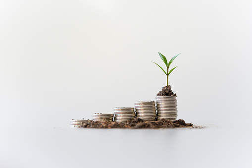 Saving money in progress like plant growing represent the more amount of deposit in account.