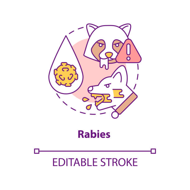 Grafik Rabies 1.700+ Rabies Ilustrasi, Grafik Vektor, & Clip Art Bebas Royalti ...