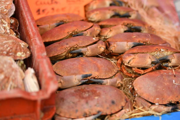 Raw of crabs at the market