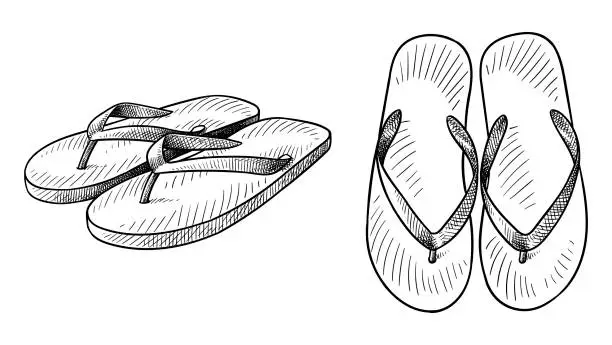 Vector illustration of Vector drawing of a pair of flip-flops