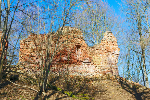 istock Spring landscape with red brick castle ruins, bare trees without leaves 1391632128