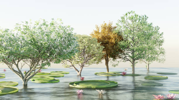 istock Morning lotus pond - Natural scenery 1391639864