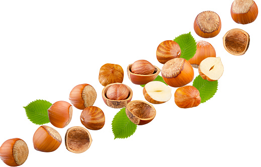 A set of hazelnuts, whole halves of the kernel peel and leaves are flying in space. Excellent retouching quality.