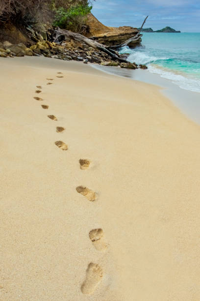 istock Sandy Beach, Waves And Footprints In The Sand 1391640435