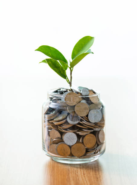 istock Green plant growing from coin jar on wooden table 1391640640