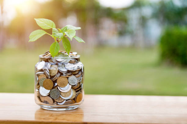 istock Young plant growing from coins 1391641971
