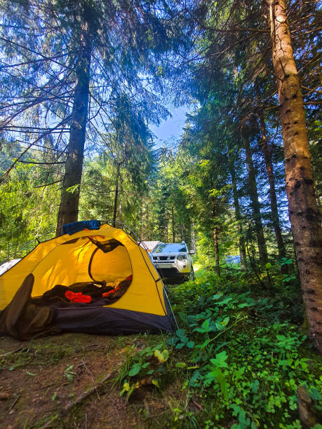istock yellow tent with suv car in forest 1391642705