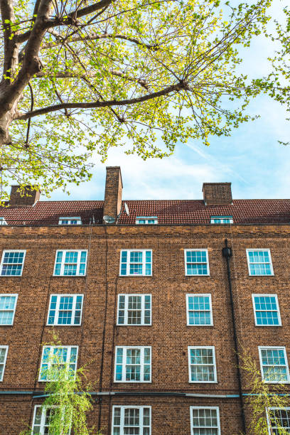 case a schiera in stile georgiano a londra - london england sash window house georgian style foto e immagini stock