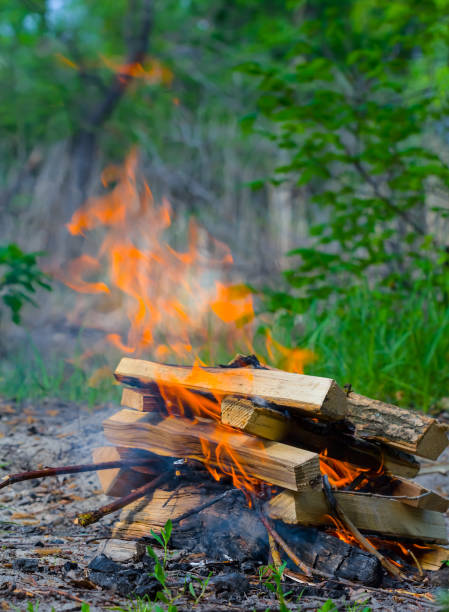 istock closeup small camp fire on green forest glade, outdoor camping scene 1391647361