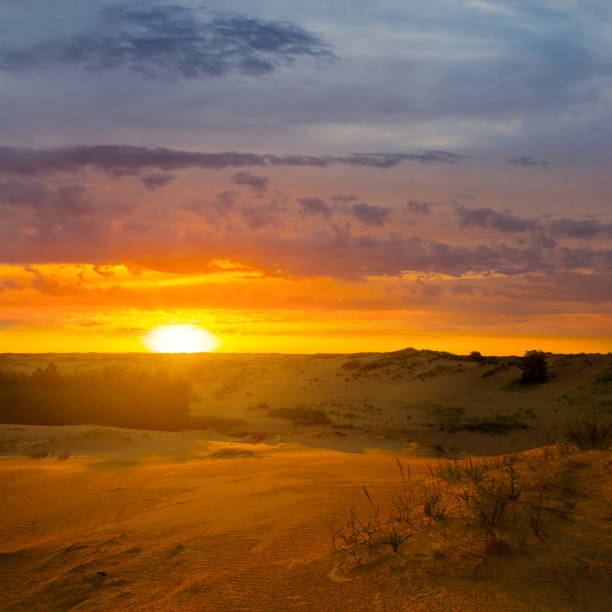 istock wide sandy desert at the dramatic sunset 1391647619