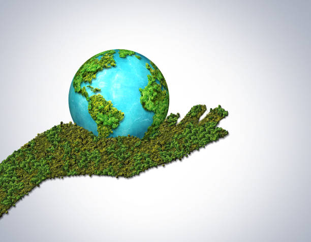 World Earth Day or Environment day concept World Environment day or earth day 3d concept . Hand Holding earth Globe In Green Forest - Environment day and earth day  Concept. world environment day stock pictures, royalty-free photos & images