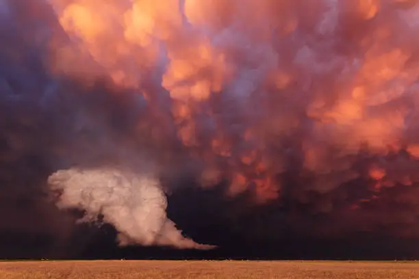 Dramatic mammatus clouds behind a thunderstorm at sunset near Lubbock, Texas, USA.