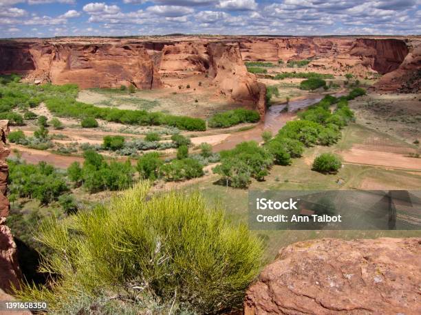 Chinle Creek In Springtime Canyon De Chelly Canyon De Chelly National Monument Stock Photo - Download Image Now