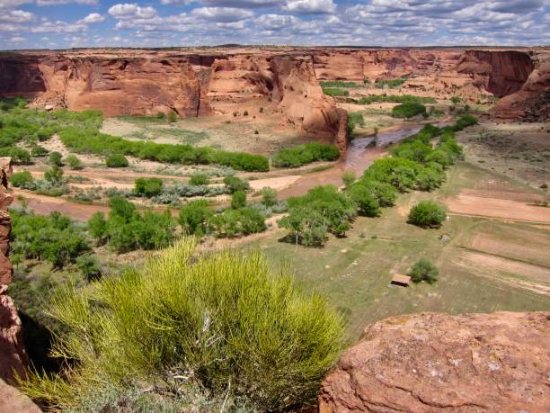 Chinle Creek in springtime Chinle Creek is a tributary stream of the San Juan River in Apache County, Arizona. Its name is derived from the Navajo word ch'inili meaning 'where the waters came out'. Canyon de Chelly National Monument is in Chinle, Arizona. chinle arizona stock pictures, royalty-free photos & images