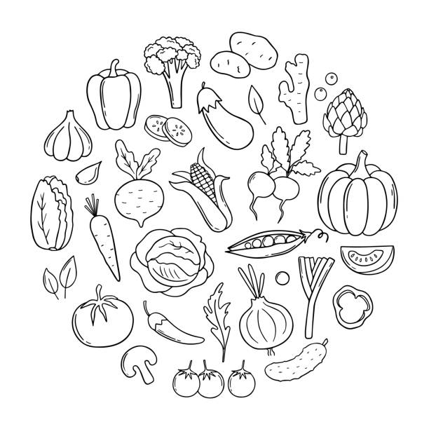 손으로 그린 야채 세트는 원 모양으로 낙서합니다. 당근, 무, 샐러드, 오이, 스케치 스타일의 양배추.  흰색 배경에 고립된 벡터 일러스트레이션입니다. - eggplant vegetable vegetable garden plant stock illustrations