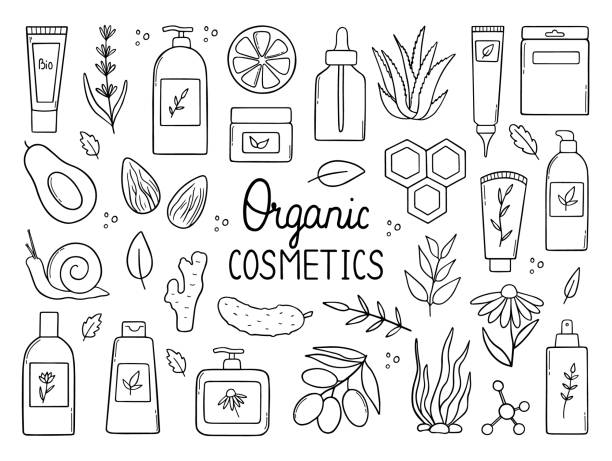 ilustrações de stock, clip art, desenhos animados e ícones de hand drawn set of organic cosmetics doodle. natural ingredients, herbs in sketch style. natural products: cream, mask, shampoo and lotion. vector illustration isolated on white background. - moisturizer cosmetics beauty treatment jar