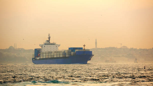 istock Container ship in the Bosphorus Strait. Istanbul, Turkey. 1391663778