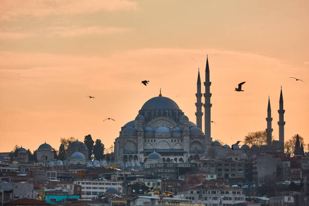 istock The beautiful Suleymaniye Camii Istanbul, Turkey. 1391663803