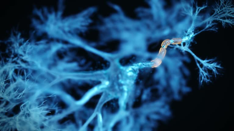 Neuron system hologram - 3d rendered video of Neuron cell network on black background. Hologram view interconnected neurons cells with electrical pulses. Conceptual medical image. Glowing synapse. Healthcare concept.